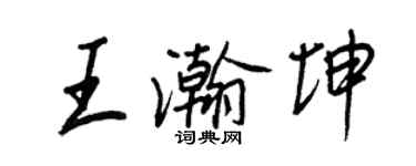 王正良王瀚坤行书个性签名怎么写
