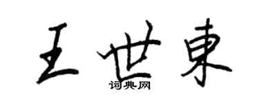 王正良王世东行书个性签名怎么写