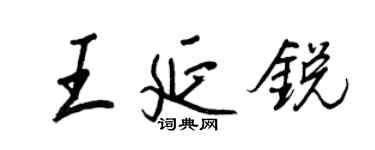 王正良王延锐行书个性签名怎么写