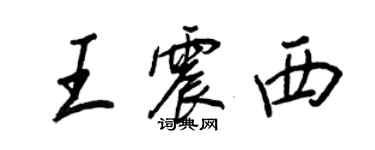 王正良王震西行书个性签名怎么写
