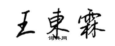 王正良王东霖行书个性签名怎么写