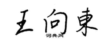 王正良王向东行书个性签名怎么写
