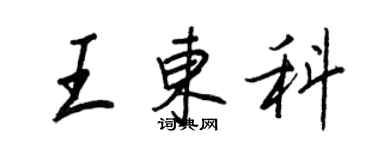 王正良王东科行书个性签名怎么写