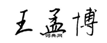 王正良王孟博行书个性签名怎么写