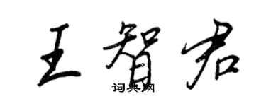 王正良王智君行书个性签名怎么写