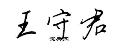 王正良王守君行书个性签名怎么写