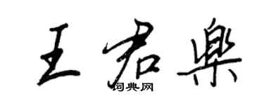 王正良王君乐行书个性签名怎么写