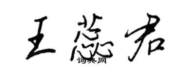 王正良王蕊君行书个性签名怎么写