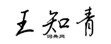王正良王知青行书个性签名怎么写