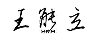 王正良王能立行书个性签名怎么写