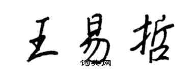 王正良王易哲行书个性签名怎么写