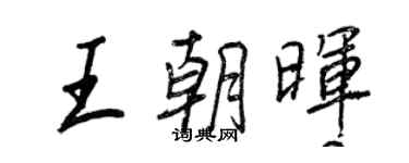 王正良王朝晖行书个性签名怎么写