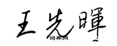 王正良王先晖行书个性签名怎么写