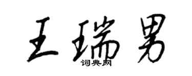 王正良王瑞男行书个性签名怎么写