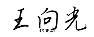 王正良王向光行书个性签名怎么写
