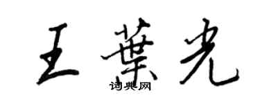 王正良王叶光行书个性签名怎么写
