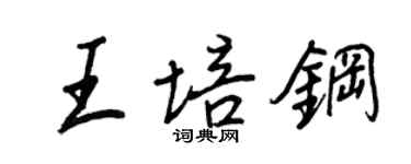 王正良王培钢行书个性签名怎么写