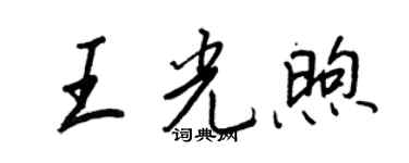 王正良王光煦行书个性签名怎么写