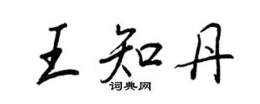 王正良王知丹行书个性签名怎么写