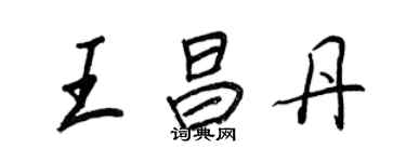 王正良王昌丹行书个性签名怎么写