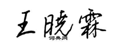 王正良王晓霖行书个性签名怎么写
