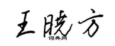王正良王晓方行书个性签名怎么写
