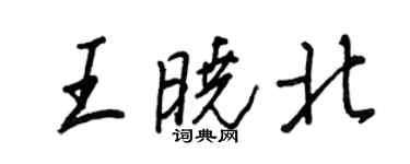王正良王晓北行书个性签名怎么写