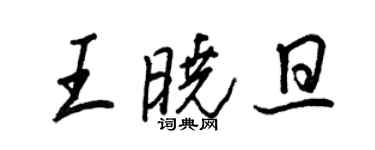 王正良王晓旦行书个性签名怎么写