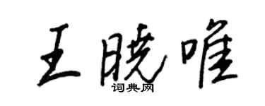 王正良王晓唯行书个性签名怎么写