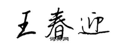 王正良王春迎行书个性签名怎么写