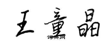 王正良王童晶行书个性签名怎么写