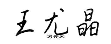 王正良王尤晶行书个性签名怎么写
