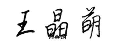 王正良王晶萌行书个性签名怎么写