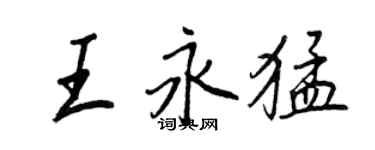 王正良王永猛行书个性签名怎么写