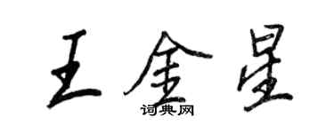 王正良王金星行书个性签名怎么写