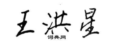 王正良王洪星行书个性签名怎么写