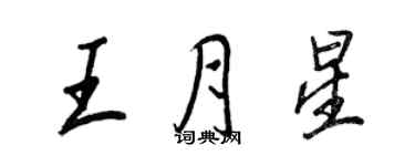王正良王月星行书个性签名怎么写