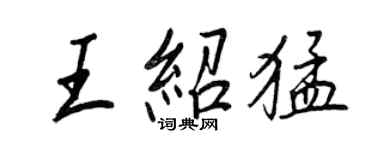 王正良王绍猛行书个性签名怎么写