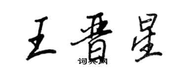 王正良王晋星行书个性签名怎么写