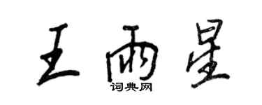 王正良王雨星行书个性签名怎么写