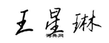 王正良王星琳行书个性签名怎么写