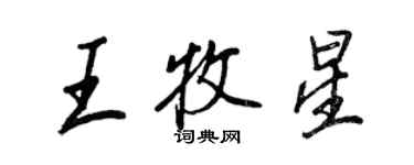 王正良王牧星行书个性签名怎么写