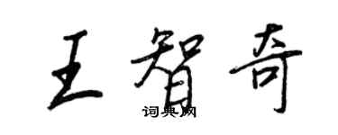 王正良王智奇行书个性签名怎么写