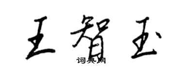 王正良王智玉行书个性签名怎么写