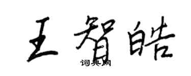 王正良王智皓行书个性签名怎么写
