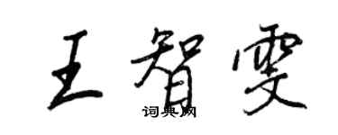 王正良王智雯行书个性签名怎么写