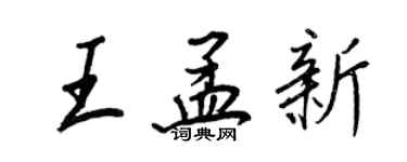 王正良王孟新行书个性签名怎么写