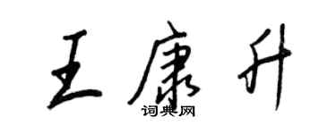 王正良王康升行书个性签名怎么写