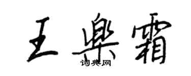 王正良王乐霜行书个性签名怎么写