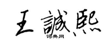 王正良王诚熙行书个性签名怎么写